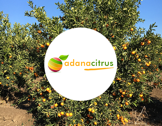 Adana Citrus